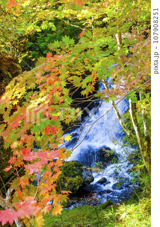 紅葉と滝（縦） 107908251
