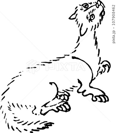 見上げるハクビシン 見上げるハクビシン 107908462