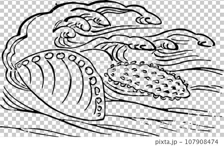 Abalone and sea slug Abalone and sea slug 107908474