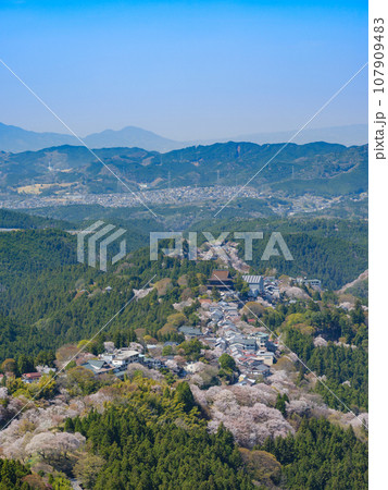 奈良_吉野の上千本桜の絶景風景 107909483