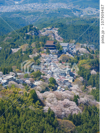 奈良_吉野の上千本桜の絶景風景 107909487