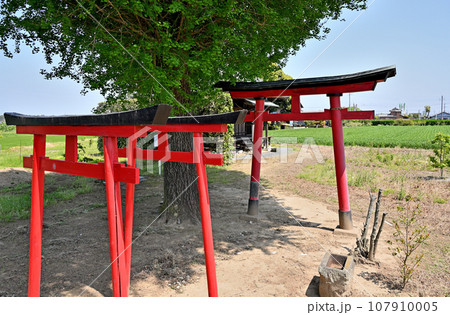 稲荷屋敷　八幡宮併稲荷社　群馬県邑楽郡明和町南大島 107910005