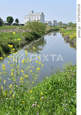 谷田川 一級河川 利根川水系渡良瀬川支流 群馬県館林市 谷田川 一級河川 利根川水系渡良瀬川支流 群馬県館林市 107910026
