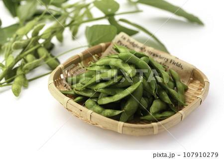茹でた枝豆 酒の肴に( お酒のおつまみイメージ )えだまめの塩茹で 豆 枝まめ 白バック 茹でた枝豆 酒の肴に( お酒のおつまみイメージ )えだまめの塩茹で 豆 枝まめ 白バック 107910279