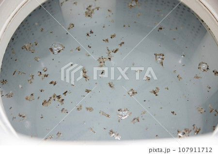 汚れが浮いた洗濯槽　洗濯槽クリーナー 107911712