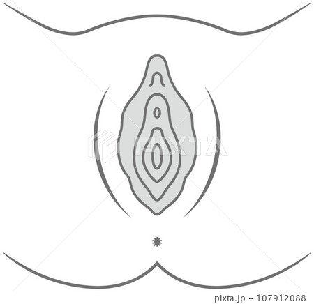 女性生殖器の説明図　膣 107912088
