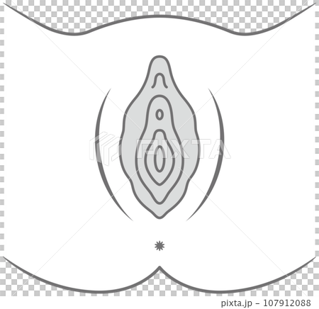 女性生殖器の説明図　膣 107912088