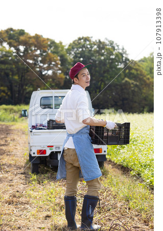 畑の野菜を出荷する男性 107913398