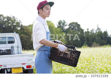 畑の野菜を出荷する男性 107913399