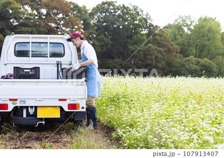 畑の野菜を出荷する男性 畑の野菜を出荷する男性 107913407
