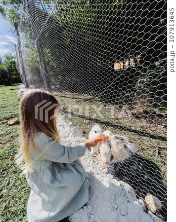 Little girl pushing a carrot to white rabbits through a net on a farm 107913645