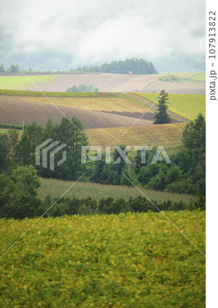 北海道 美瑛の「新栄の丘展望公園」から見える景色 107913822
