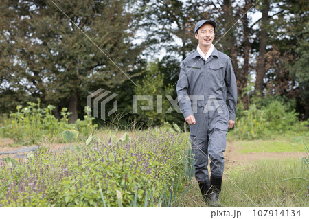 畑の野菜を育てる男性 畑の野菜を育てる男性 107914134
