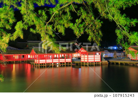 【広島県】宮島の厳島神社の夜景 107915243