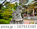 神社に置かれた狛犬 こまいぬ 107915385