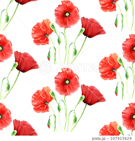Seamlesss pattern with red wild poppies. Watercolor illustration isolated on white for decor, textile, fabric, wrapping. Seamlesss pattern with red wild poppies. Watercolor illustration isolated on white for decor, textile, fabric, wrapping. 107915629
