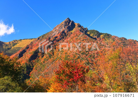 【愛媛県】快晴下の石鎚山紅葉 【愛媛県】快晴下の石鎚山紅葉 107916671