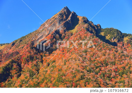 【愛媛県】快晴下の石鎚山紅葉 【愛媛県】快晴下の石鎚山紅葉 107916672