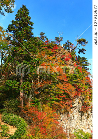 【愛媛県】紅葉の石鎚山鎖場(前社ヶ森) 【愛媛県】紅葉の石鎚山鎖場(前社ヶ森) 107916677