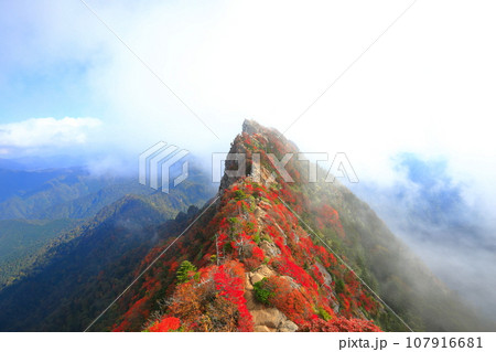 【愛媛県】霧に包まれる紅葉の天狗岳（石鎚山） 107916681
