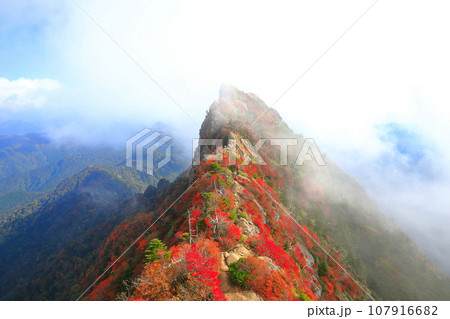 【愛媛県】霧に包まれる紅葉の天狗岳(石鎚山) 【愛媛県】霧に包まれる紅葉の天狗岳(石鎚山) 107916682