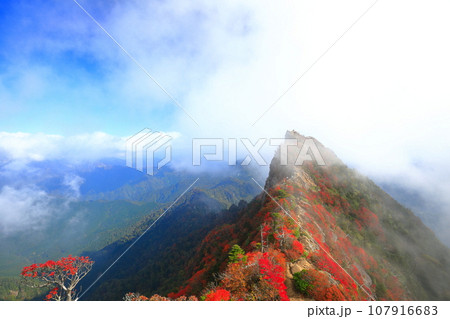 【愛媛県】霧に包まれる紅葉の天狗岳（石鎚山） 107916683
