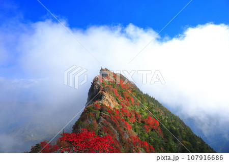 【愛媛県】霧に包まれる紅葉の天狗岳(石鎚山) 【愛媛県】霧に包まれる紅葉の天狗岳(石鎚山) 107916686