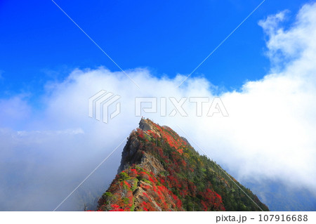 【愛媛県】霧に包まれる紅葉の天狗岳(石鎚山) 【愛媛県】霧に包まれる紅葉の天狗岳(石鎚山) 107916688