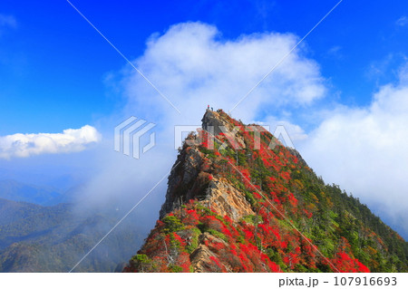 【愛媛県】霧に包まれる紅葉の天狗岳(石鎚山) 【愛媛県】霧に包まれる紅葉の天狗岳(石鎚山) 107916693