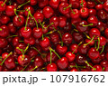 Texture of juicy ripe cherries 107916762