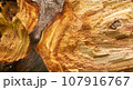 Wood fiber texture 107916767