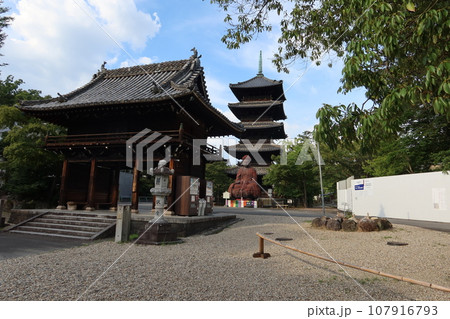 名古屋市の興正寺境内入り口の中門と五重塔の風景 107916793