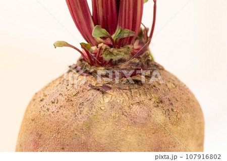 ビーツの頭、生え際アップ ビーツの頭、生え際アップ 107916802