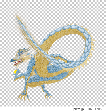 リアルな龍のイラスト 107917088