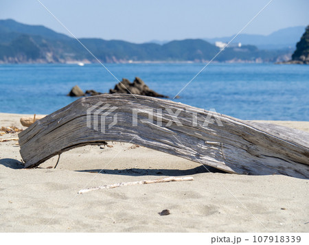 砂浜の流木。 砂浜の流木。 107918339