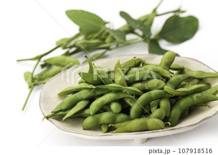 枝豆 酒の肴に（ お酒のおつまみイメージ ）えだまめの塩茹で 豆 枝まめ 白バック 107918516