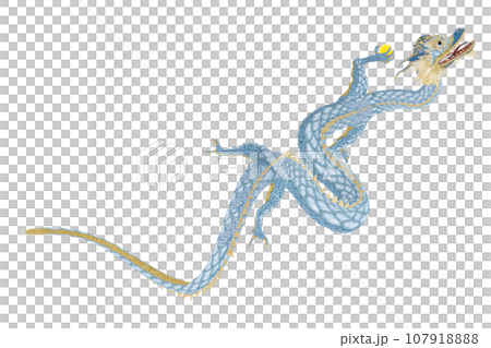 リアルな龍のイラスト リアルな龍のイラスト 107918888