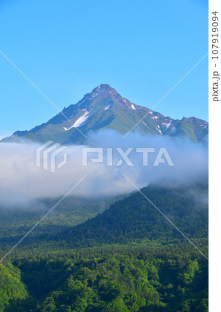 春 利尻島 春 利尻島 107919094
