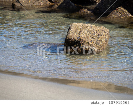 透明で美しい海の穏やかな海岸の消波ブロック。 107919562