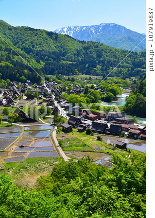 春　白川郷　荻町地区 107919837