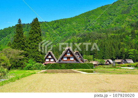 春　白川郷　荻町地区 107920020