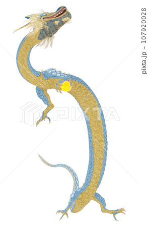 リアルな龍のイラスト 107920028