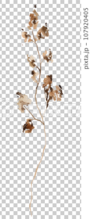 Watercolor brown dryed wildflowers isolated illustration, floral wedding and greeting element Watercolor brown dryed wildflowers isolated illustration, floral wedding and greeting element 107920405