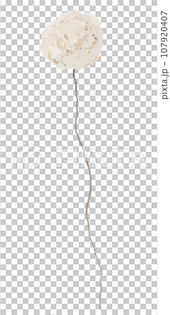 Watercolor cream wildflowers isolated illustration, floral wedding and greeting element 107920407