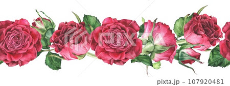 Seamless Border with pink Rose Flowers. Watercolor botanical ornament illustration. Hand drawn isolated on white background. Floral pattern for fabric and tape. Suitable for printing on ribbons Seamless Border with pink Rose Flowers. Watercolor botanical ornament illustration. Hand drawn isolated on white background. Floral pattern for fabric and tape. Suitable for printing on ribbons 107920481