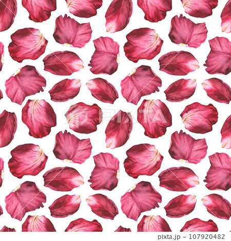 Seamless Pattern with pink flower Petals. Watercolor botanical illustration of red rose and peonies. Hand drawn isolated on white background. Floral ornament for printing on fabric and wrapping paper Seamless Pattern with pink flower Petals. Watercolor botanical illustration of red rose and peonies. Hand drawn isolated on white background. Floral ornament for printing on fabric and wrapping paper 107920482