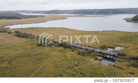 北海道標茶町のシラルトロ沼のほとりを走るキハ261系5000代ラベンダー編成 107920917