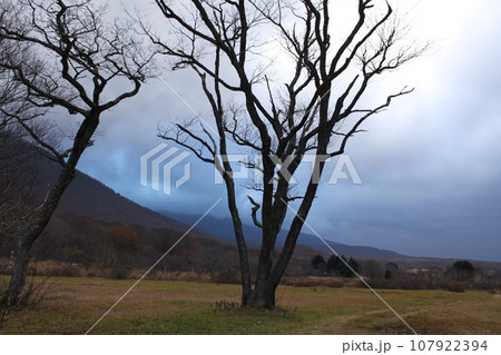 八甲田山近くの風景 八甲田山近くの風景 107922394