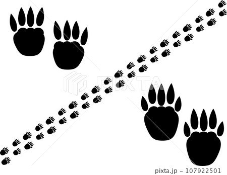 ハムスターのような小動物の足跡イラストセット ハムスターのような小動物の足跡イラストセット 107922501