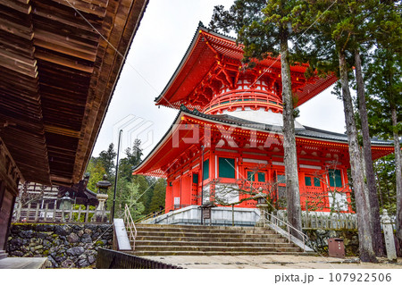 雨雨の高野山 壇上伽藍・根本大塔 雨雨の高野山 壇上伽藍・根本大塔 107922506